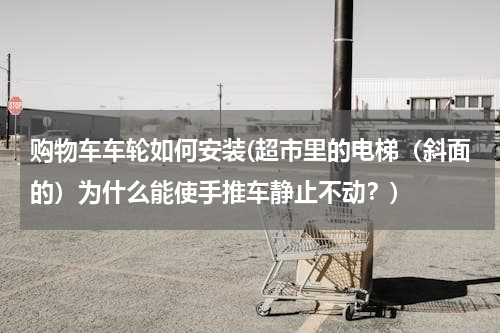 购物车车轮如何安装(超市里的电梯（斜面的）为什么能使手推车静止不动？)