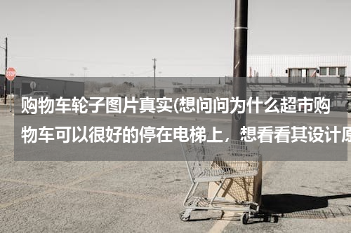 购物车轮子图片真实(想问问为什么超市购物车可以很好的停在电梯上，想看看其设计原理图，这是在网上找的几幅图片)