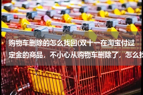 购物车删除的怎么找回(双十一在淘宝付过定金的商品,不小心从购物车删除了,怎么找回来?怎么把待付尾款的商品加到购物车中??)
