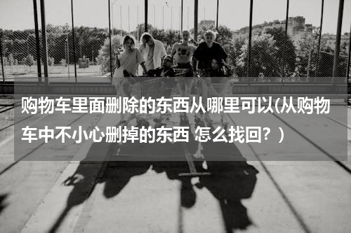 购物车里面删除的东西从哪里可以(从购物车中不小心删掉的东西 怎么找回?)