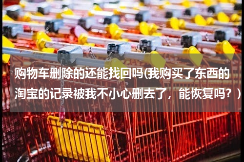 购物车删除的还能找回吗(我购买了东西的淘宝的记录被我不小心删去了,能恢复吗?)