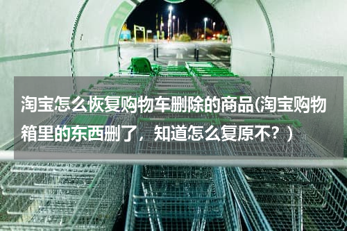 淘宝怎么恢复购物车删除的商品(淘宝购物箱里的东西删了,知道怎么复原不?)
