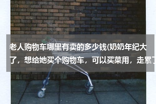 老人购物车哪里有卖的多少钱(奶奶年纪大了，想给她买个购物车，可以买菜用，走累了还可以坐会的，而且可以折叠，不知道哪里有卖的)