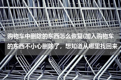 购物车中删除的东西怎么恢复(加入购物车的东西不小心删除了,想知道从哪里找回来,太麻烦不想自己在一个个找了)