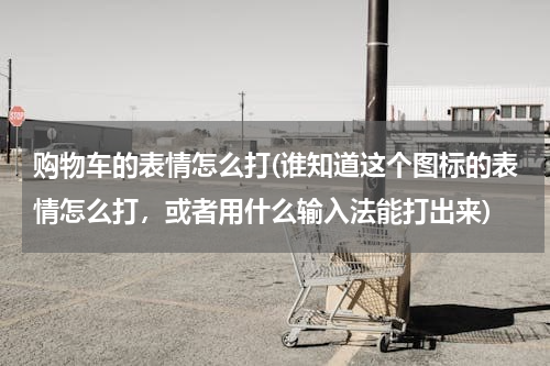 购物车的表情怎么打(谁知道这个图标的表情怎么打，或者用什么输入法能打出来)